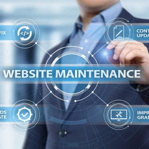 Website Maintenance Plan 1 (Month to Month) - Up to 10 hours