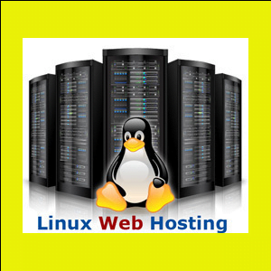 Web Hosting - Self Management w/ Pay as You Go Premium Support and Advisory Services