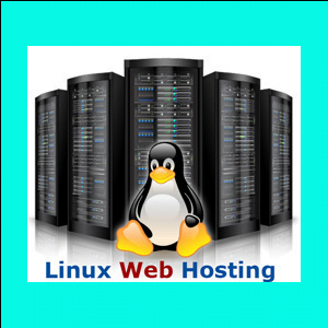 Web Hosting - Self Management w/ Support and Advisory Services Tier 2