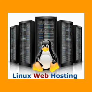 Web Hosting - Self Management w/ Support and Advisory Services Tier 4