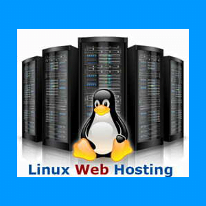 Web Hosting - Self Management w/ Support and Advisory Services Tier 5