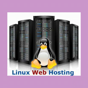 Web Hosting - Self Management w/ Support and Advisory Services Tier 6