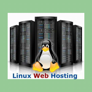 Web Hosting - Self Management w/ Support and Advisory Services Tier 7