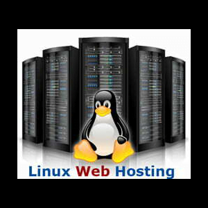 Web Hosting - Self Management w/ Support and Advisory Services Tier 8