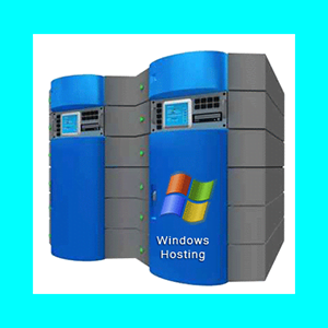 Windows Web Hosting - Tier 2